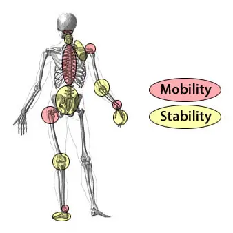 Diagram of the Joint-by-Joint Approach: a skeleton figure marked with alternating mobility and stability joints from the foot to the shoulder